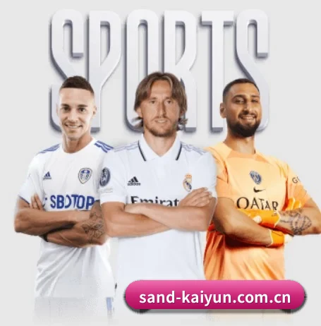 开云 APP 界面(kaiyun)