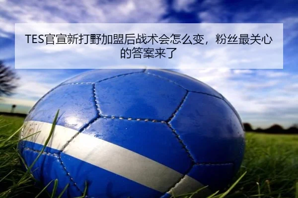 img_1780366346263_129_2_806.jpg
